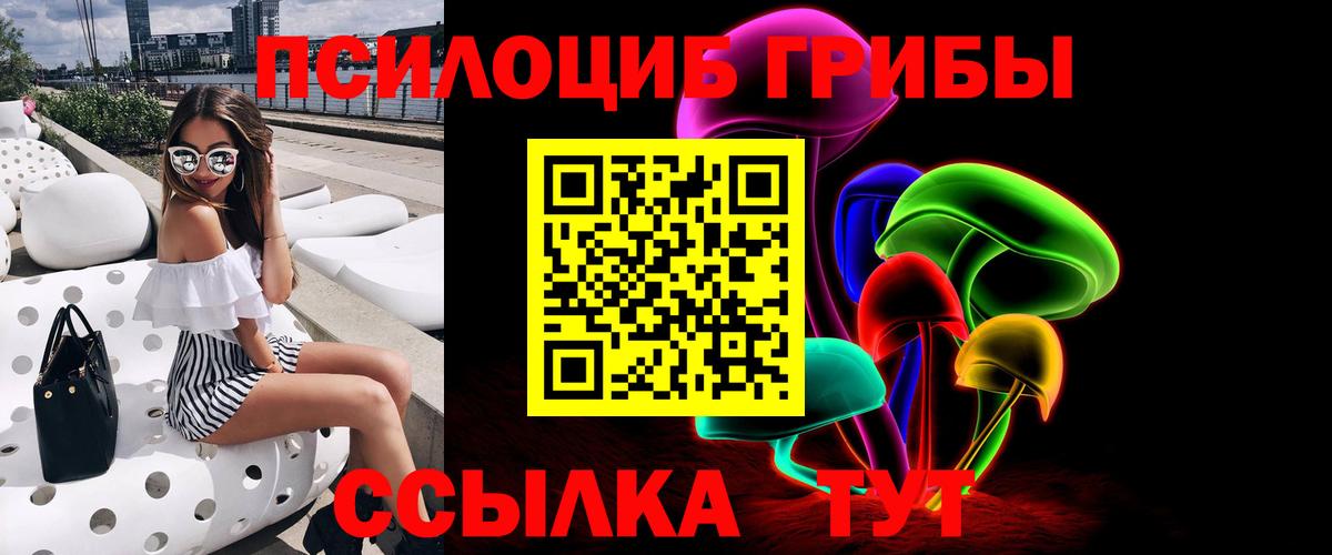 Каменка  Галлюциногенные грибы Cubensis  Вход с VPN  Галлюциногенные грибы прущие грибы 