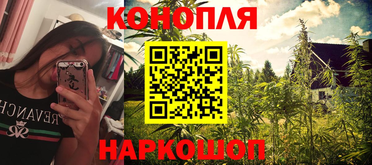 Бошки марихуана ГИДРОПОН Каменка